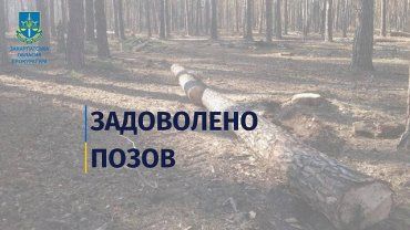 В Закарпатье суд заставил лесхоз компенсировать ущерб от вырубки деревьев