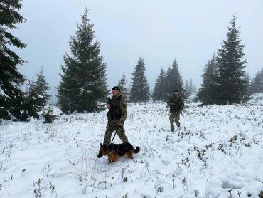 В горах Закарпатья выпало до 40 см снега