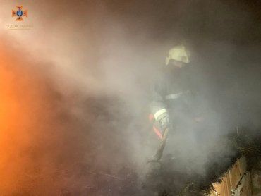 В Закарпатье пожар оставил корову без сена, сгорело 5 тонн