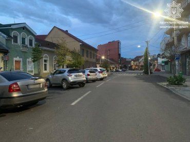 В Ужгороде "прочесали" припаркованную Skoda, видевших наглую морду просят сообщить 