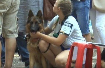 В Боздошском парке Ужгорода началась выставка собак «Звезда Закарпатья – 2019»