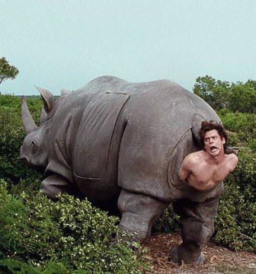 Очень сильный кадр из фильма великого Олега Сенцова "Носорог"