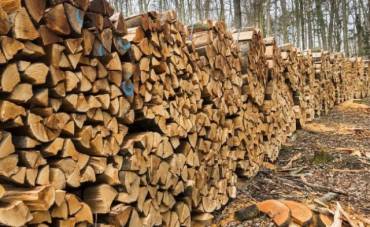 Из Украины запретили вывозить дрова