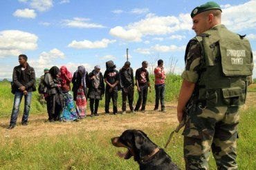 Пограничники Мукачевского отряда в 2015 задержали 655 нелегалов