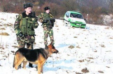 Нелегалов заметил пограничный наряд отдела "Новоселица" Чопского отряда