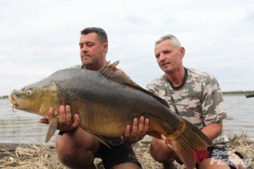 Закарпатские рыбаки словили на чемпионате карпа весом 14,2 кг