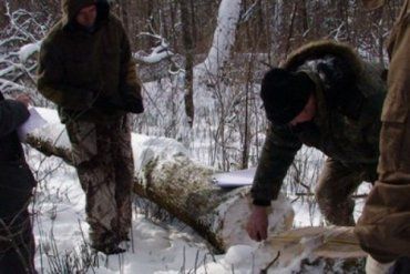 В Воловецком районе милиционеры разоблачили лесничего