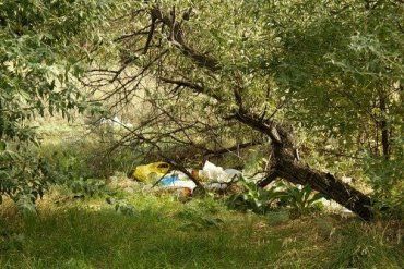 В Закарпатье трое нелегалов из Африки спрятались в кустах